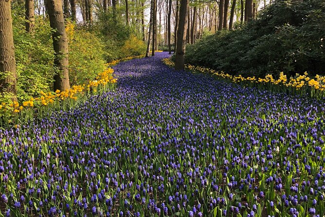 Keukenhof, Tulip Farm, Flower Fields & Zaanse Schans Windmills - Flower fields on the drive: step out for photos