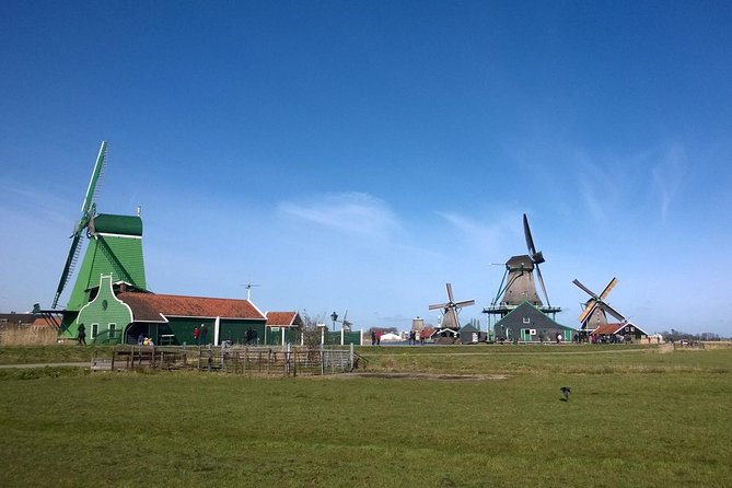 Keukenhof, Zaanse Schans Windmills Private Tour with Lunch - Keukenhof Gardens: your tulip time with included entry