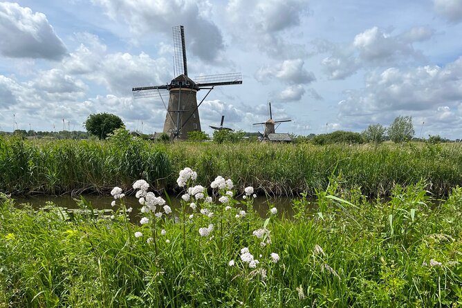 Kinderdijk Windmills, Delft City & Delft Blue Factory Visit - Kinderdijk UNESCO windmills: water control you can actually see