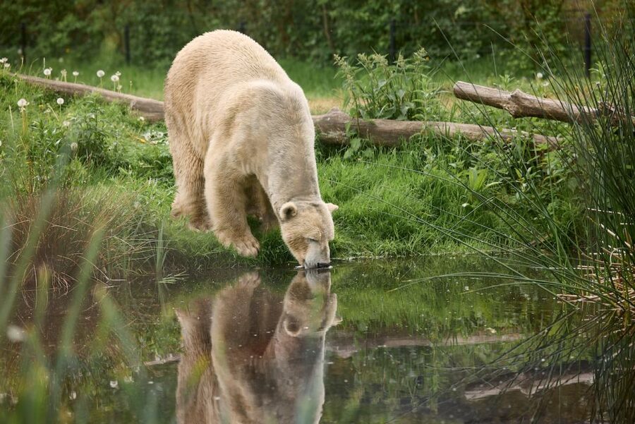 Leewarden: AquaZoo Entry Ticket - Key highlights to aim for