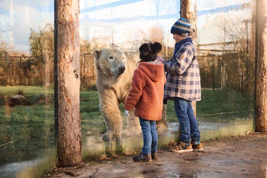 Leewarden: AquaZoo Entry Ticket - What to expect on the ground: pace, comfort, and crowd reality