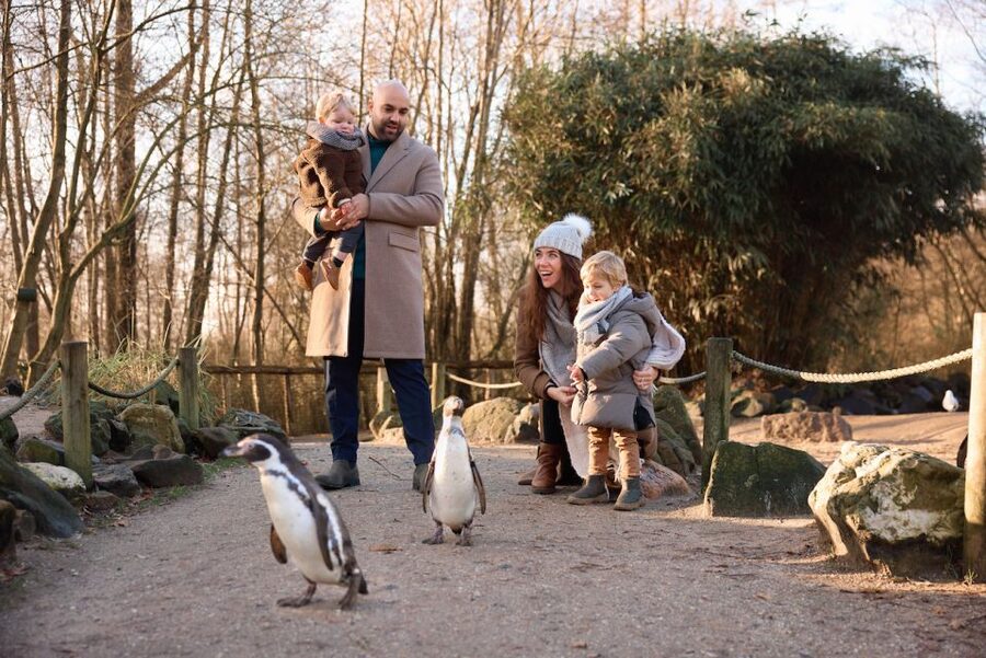 Leewarden: AquaZoo Entry Ticket - Polar bears and Amur tigers: the eye-level thrill
