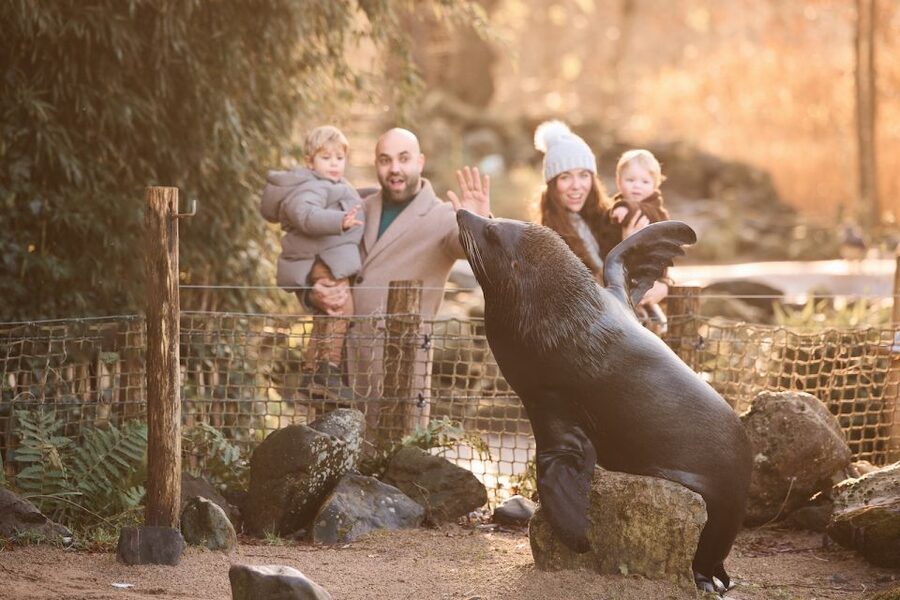 Leewarden: AquaZoo Entry Ticket - Price and value: is $23 a fair deal?