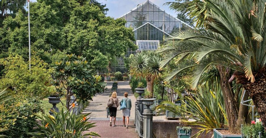 Leiden: Hortus botanicus Leiden Entry Ticket - Key points before you go