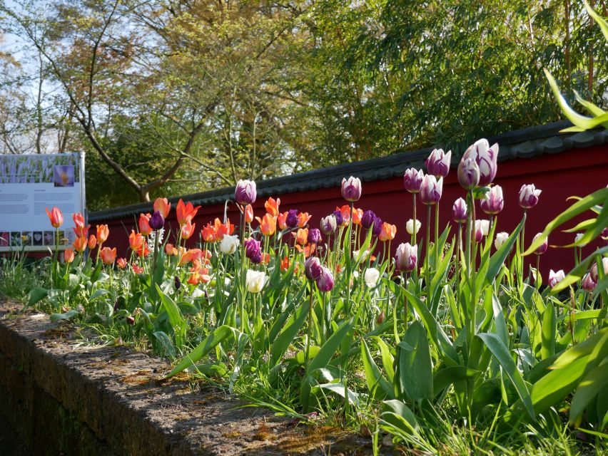 Leiden: Hortus botanicus Leiden Entry Ticket - Japanese Garden and the plant exchange story you can see, not just read