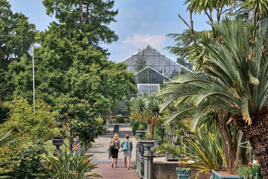 Leiden: Hortus botanicus Leiden Entry Ticket - Southeast Asia collections and orchids that feel almost unreal indoors