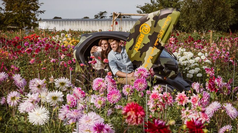 Lisse: Drive-it-Yourself Summer Flower GPS Audio Tour - Key points before you go
