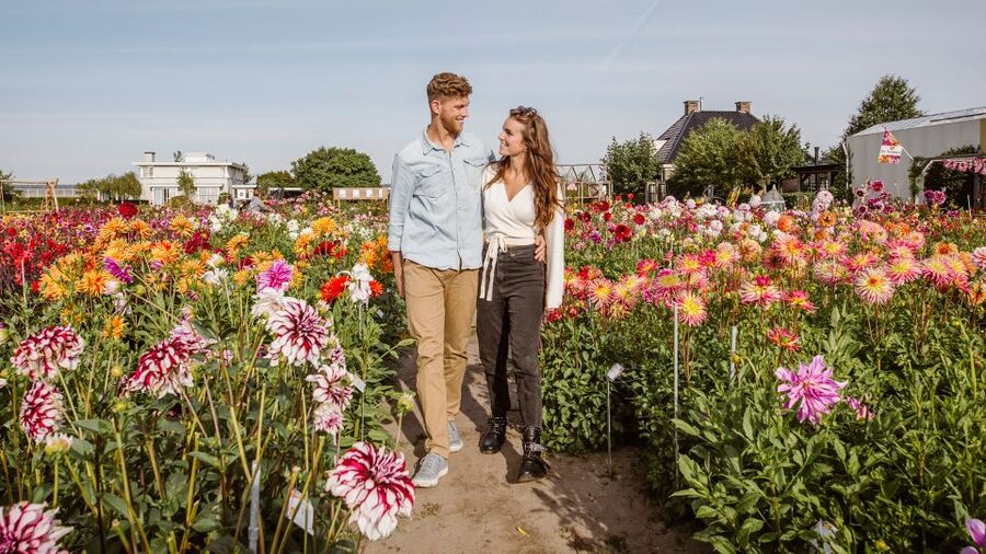 Lisse: Drive-it-Yourself Summer Flower GPS Audio Tour - Big summer flower and dahlia show gardens, plus a Castle highlight