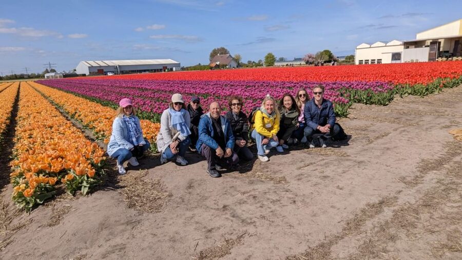 Lisse: Enjoy the Tulip Fields by Bike with a Local Guide! - Key things to know before you pedal