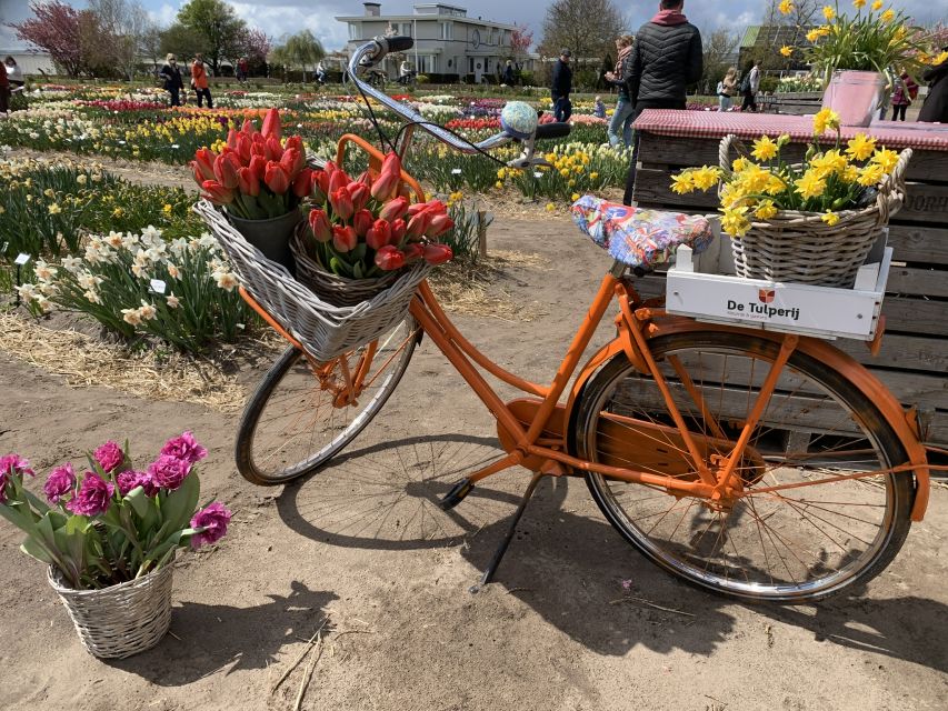 Lisse: Enjoy the Tulip Fields by Bike with a Local Guide! - Price check: what you actually get for $58