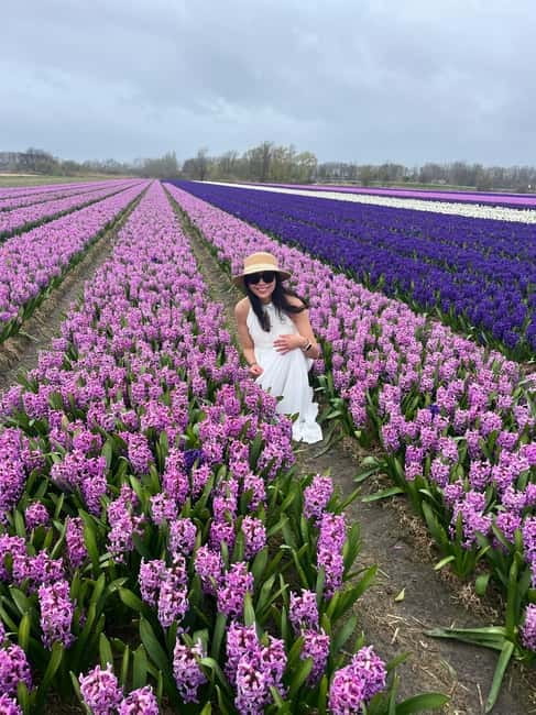 Lisse: Private Tulip Fields Tour with a Local Guide 1h Tour - Why the local guide makes this tour feel worth it