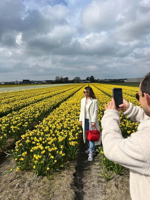 Lisse: Private Tulip Fields Tour with a Local Guide 1h Tour - Your optional Dutch lunch, and how to plan it
