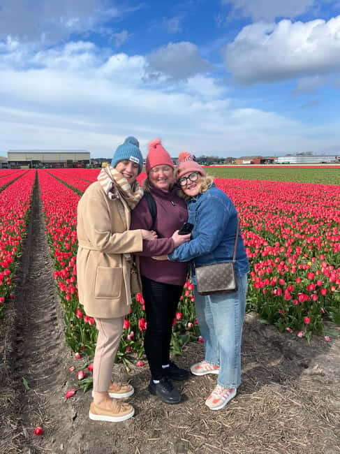 Lisse: Private Tulip Fields Tour with a Local Guide 1h Tour - Who should book this tulip tour, and who might want a different plan
