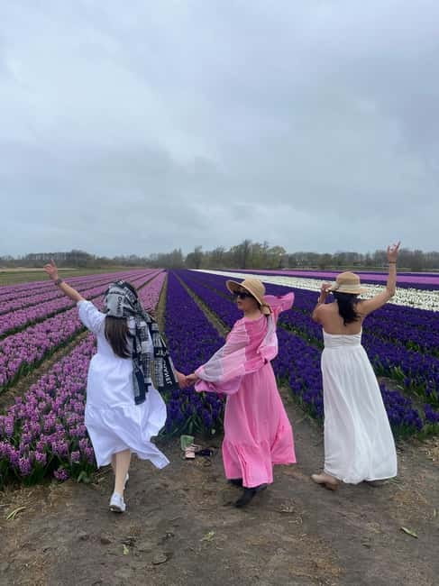 Lisse: Private Tulip Fields Tour with a Local Guide 1h Tour - What actually happens during the 1 hour in Lisse