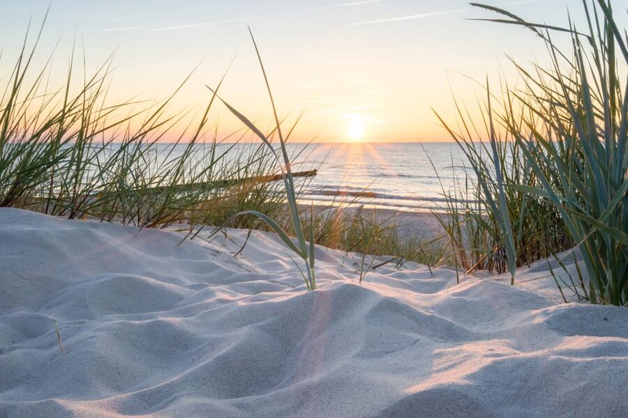 Lisse: Self-Drive Electric Car Dune and Beach Audio Tour - Why a Twizy Self-Drive Through South Holland Feels Different