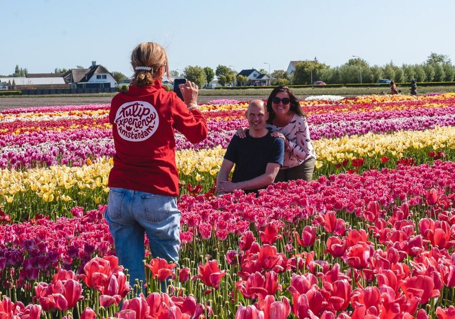 Lisse: Tulip Experience Ticket with Tulip Garden and Museum - A tulip farm day near Keukenhof that feels calmer