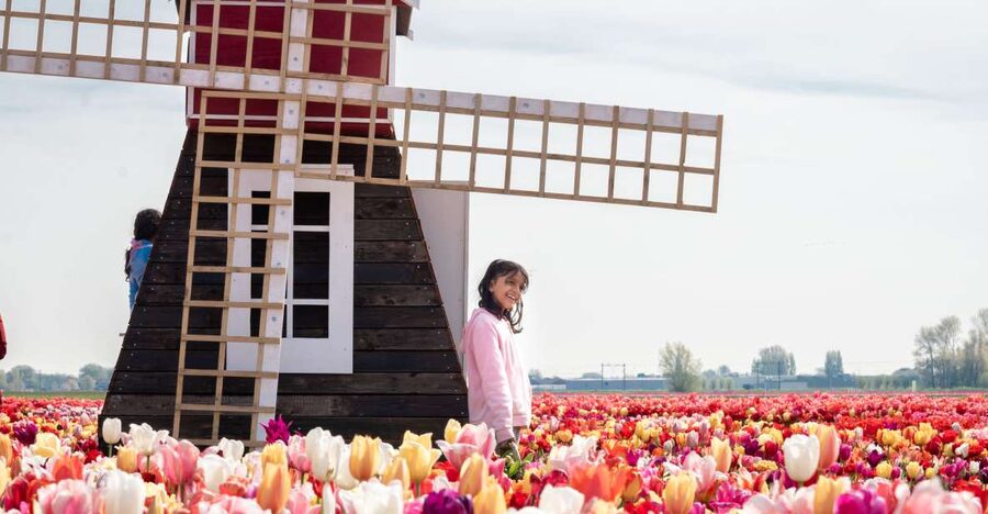 Lisse: Tulip Experience Ticket with Tulip Garden and Museum - Inside the museum, art exhibitions, and cinema