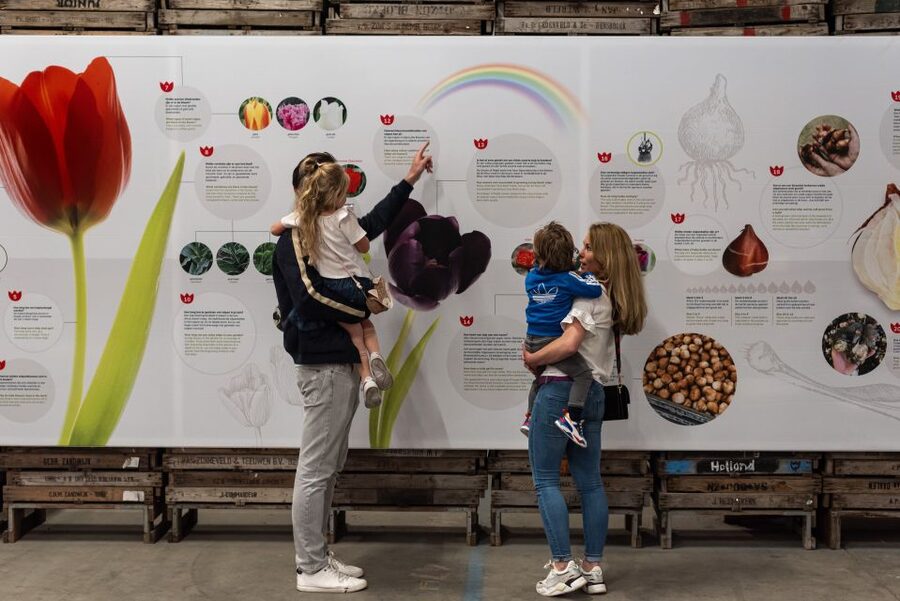 Lisse: Tulip Experience Ticket with Tulip Garden and Museum - Entering the selfie and tulip garden: props plus 700 varieties