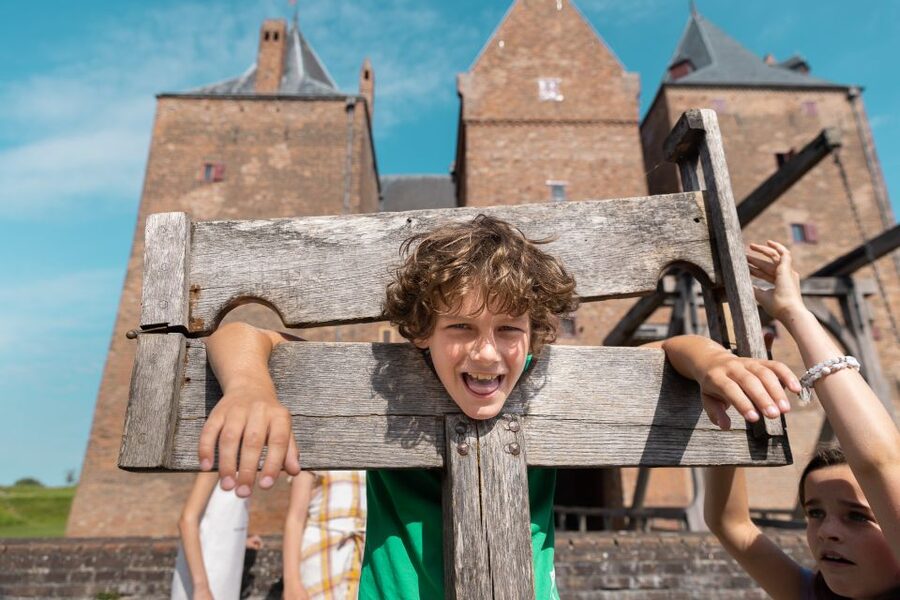 Loevestein Castle Entry Ticket - Hollandse Waterlinie: the defensive system beyond the castle walls
