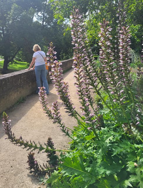Maastricht Hidden Gems Tour Uncover the Unexpected - What $235 per group buys on a Maastricht origins walk