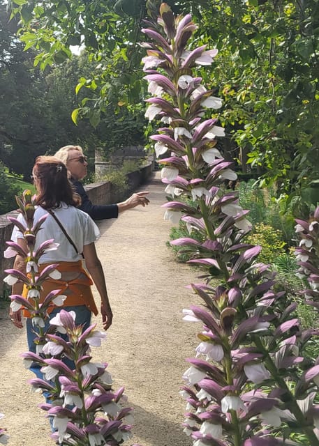 Maastricht Hidden Gems Tour Uncover the Unexpected - Basilica of Our Lady and Bisschopsmolen: medieval architecture with real-world meaning