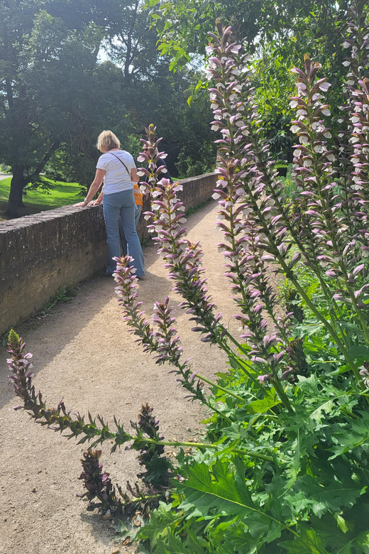 Maastricht Hidden Gems Tour Uncover the Unexpected - Het Vagevuur and Vrijthof: quiet passages to the social heart
