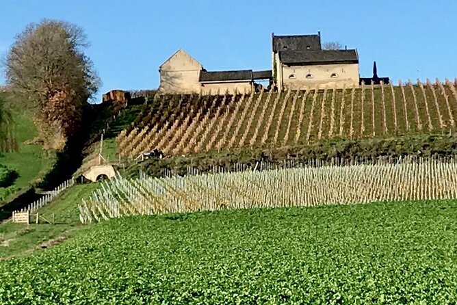 Maastricht Privat Sightseeing City Walk - Should You Book This Maastricht City Walk?