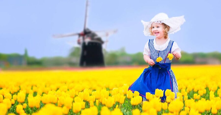 Magical Delft and the Keukenhof Estate: Tulips Galore - Key points before you go