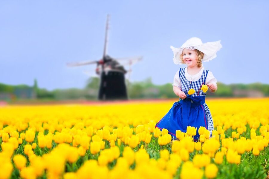 Magical Delft and the Keukenhof Estate: Tulips Galore - Delft guided walk: canals, City Hall, and two churches with royal connections