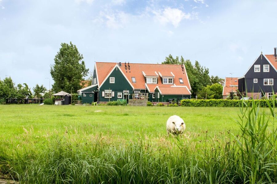 Marken, Volendam and Edam: Private Full-Day Tour - What Makes This Tour Feel Worth It