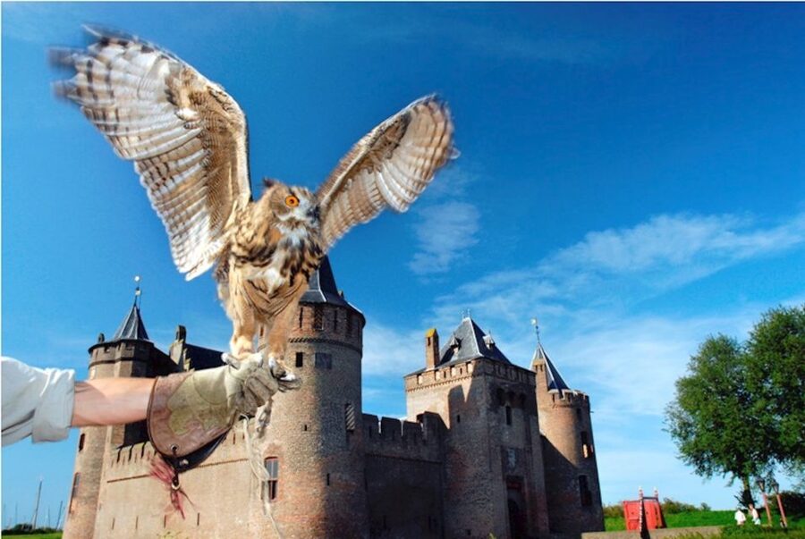 Muiden: Entry Ticket to Muiderslot Castle - Key Things You Will Enjoy at Muiderslot