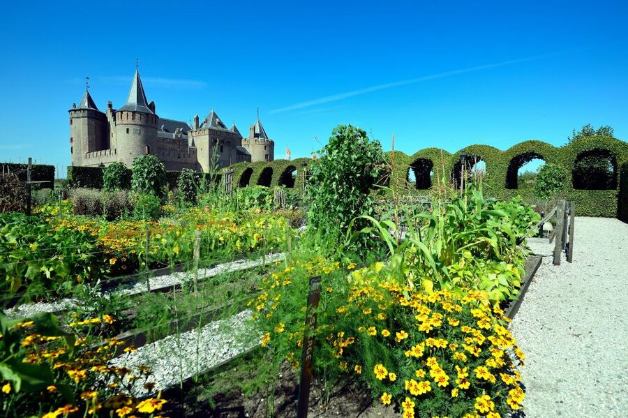 Muiden: Entry Ticket to Muiderslot Castle - What the Castle Setting Teaches You Before You Even Enter
