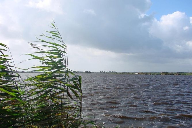 Off the beaten paths Dutch Country Side Private Tour in Jaguar - Simonehoeve: Cheese Farm and Optional Clogs Factory Time