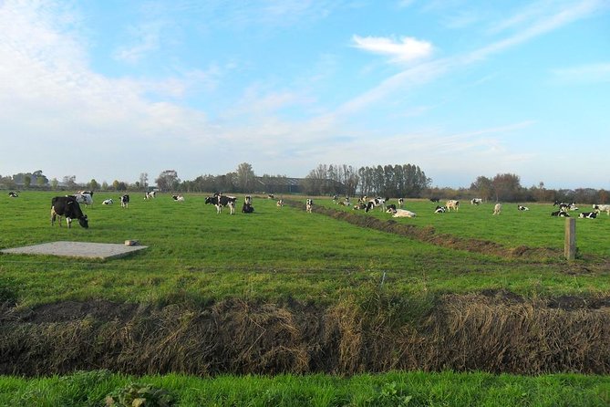 Off the Beaten Paths Dutch Landscape Private Tour 1/2 day Jaguar - Stop 5: Edam, cheese country without the long wait