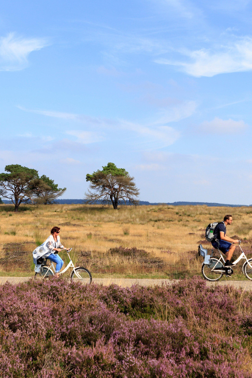 Otterlo: De Hoge Veluwe National Park Entry Ticket - Museonder first: why starting in the park center pays off