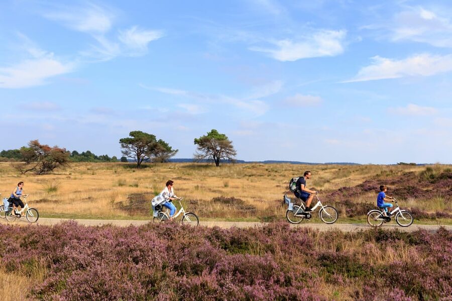 Otterlo: De Hoge Veluwe National Park Entry Ticket - Kröller-Müller and Jachthuis Sint Hubertus: how to plan for the extra museum tickets