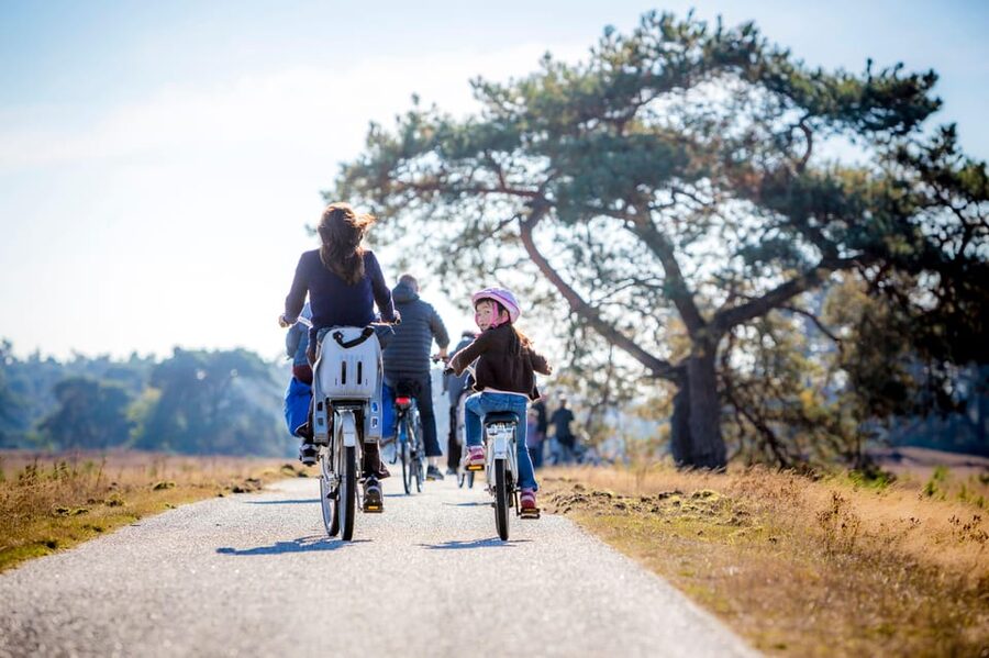 Otterlo: De Hoge Veluwe National Park Entry Ticket - Value and best-fit traveler types