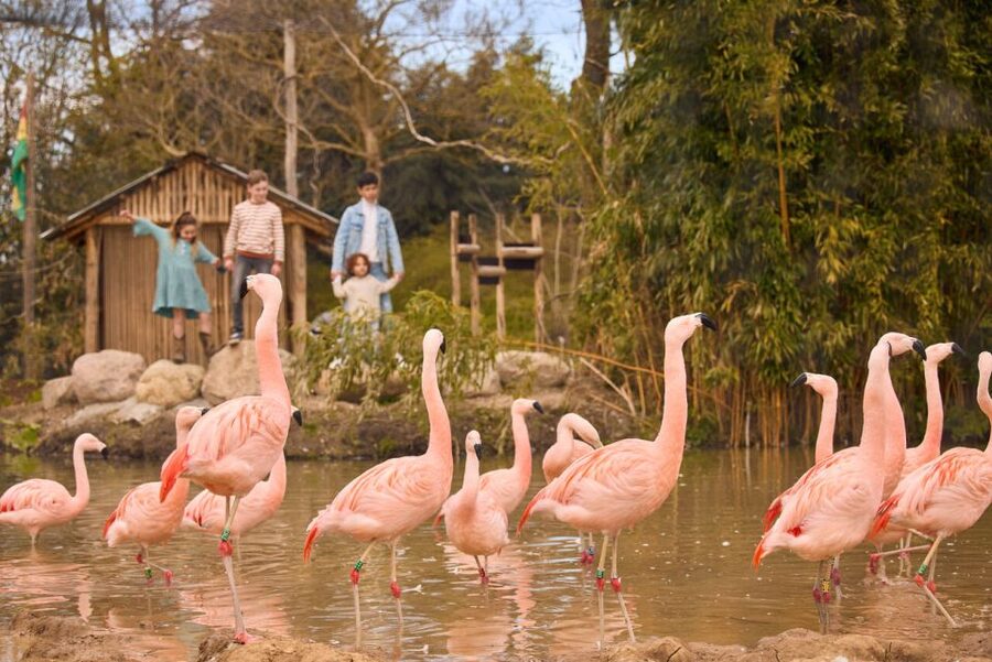 Overloon: ZooParc Entrance Ticket - ZooParc Overloon in North Brabant: world zones without the flight
