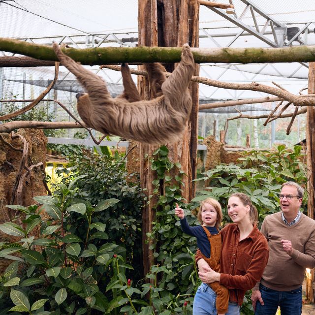 Overloon: ZooParc Entrance Ticket - Cafes and playgrounds: how ZooParc keeps the day moving