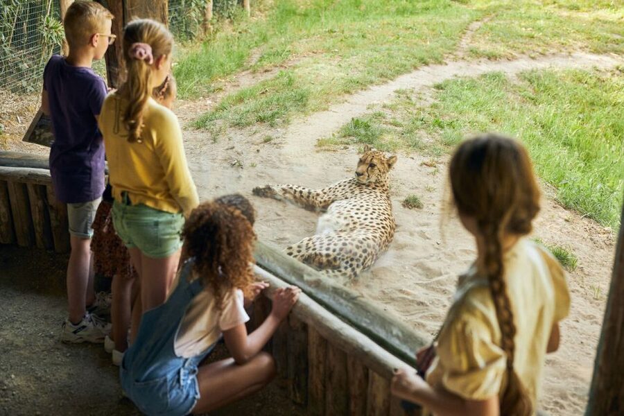 Overloon: ZooParc Entrance Ticket - Madidi: ending with South American wildlife