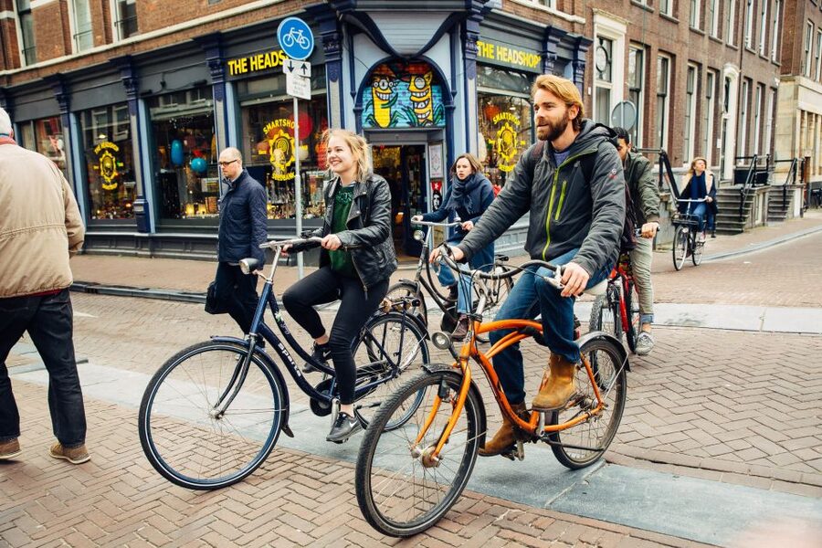 Private Amsterdam Bike Tour with a Local - Vondelpark’s green pause and Picasso’s Fish statue