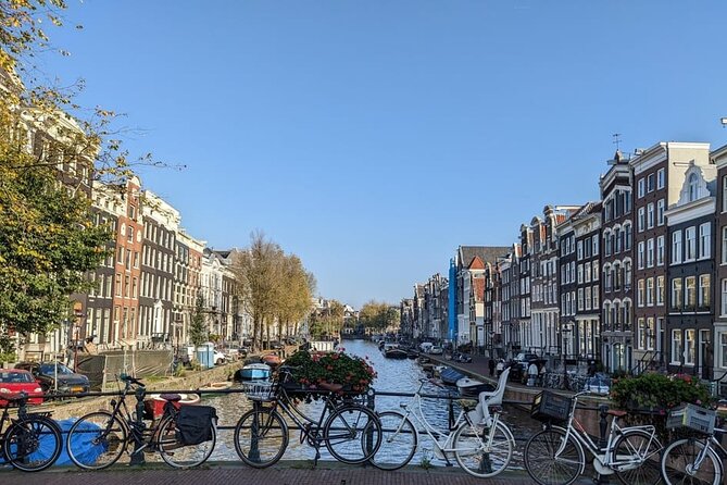 Private Amsterdam Historical Walking Tour - Should you book it?