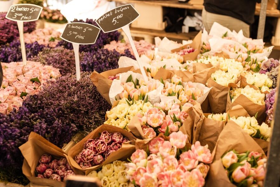 Private Amsterdam Tour with a Local, Flexible & Custom - Guide quality: how to get the most from your local host