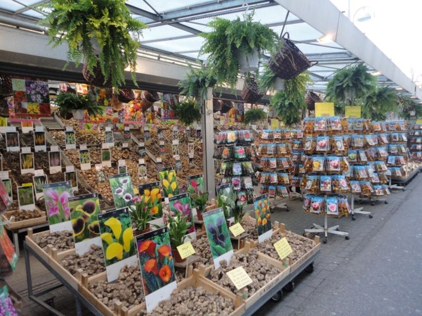 Private Amsterdam Walking Tour - Key highlights that make this tour worth your time