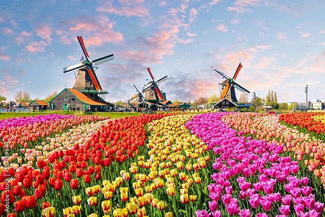 Private Countryside Tour From Amsterdam - Key things that make this countryside loop work