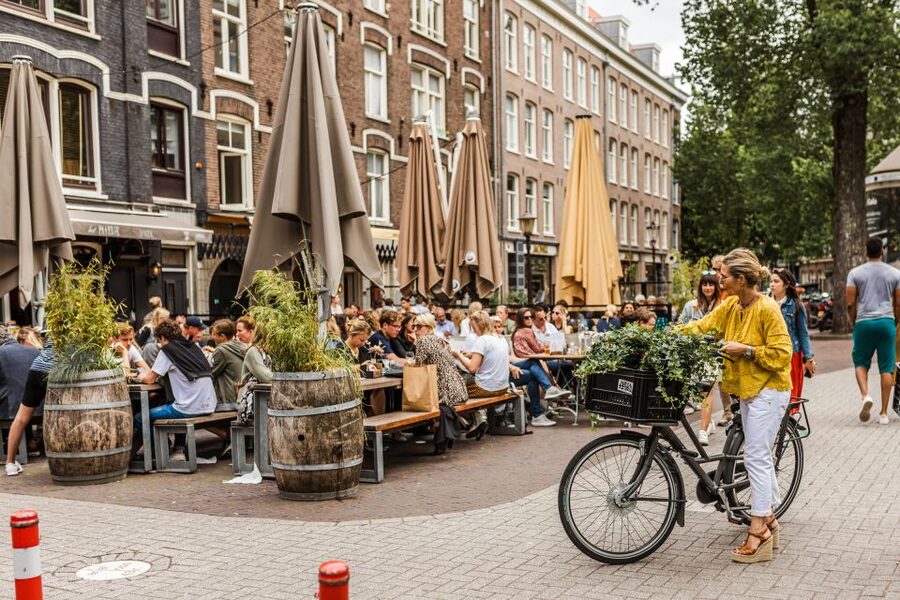 Private & Custom Amsterdam Tour, Hidden Gems with a Local - Amsterdam-Noord: Eye Film Museum, NDSM Werf, parks, and contemporary culture