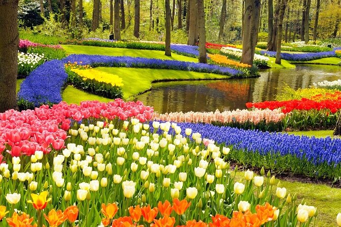 Private custom tour from Amsterdam to Giethoorn - Who this Amsterdam to Giethoorn private tour suits best
