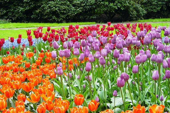 Private Day Trip from Amsterdam to Keukenhof with Entrance Tickets - Hotel Pickup From Amsterdam Makes the Day Feel Effortless