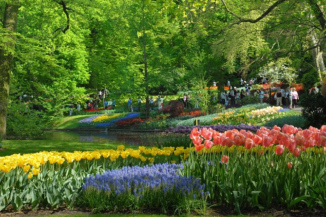 Private Day Trip from Amsterdam to Keukenhof with Entrance Tickets - The Return Ride and the Optional Tulip Farm Lunch Stop