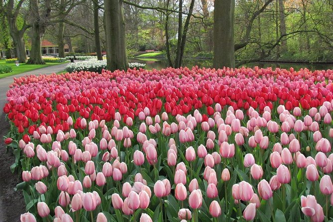 Private Day Trip from Amsterdam to Keukenhof with Entrance Tickets - Who This Private Keukenhof Day Trip Fits Best